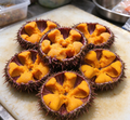 Sea Urchin Roe